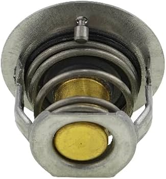 Amazon.com: DVPARTS 82°C Thermostat SBA145206182 Compatible with